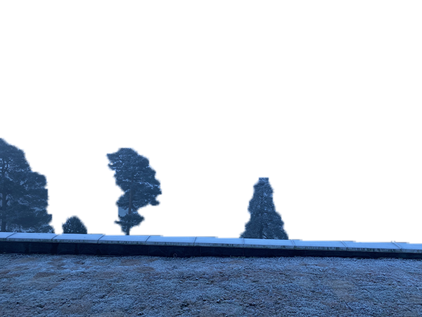 bilde/png/cropped